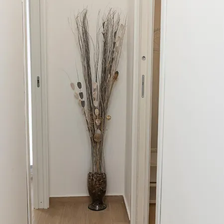Apartment Ludo House - Charming Con Patio A Due Passi Dalla Cattedrale
